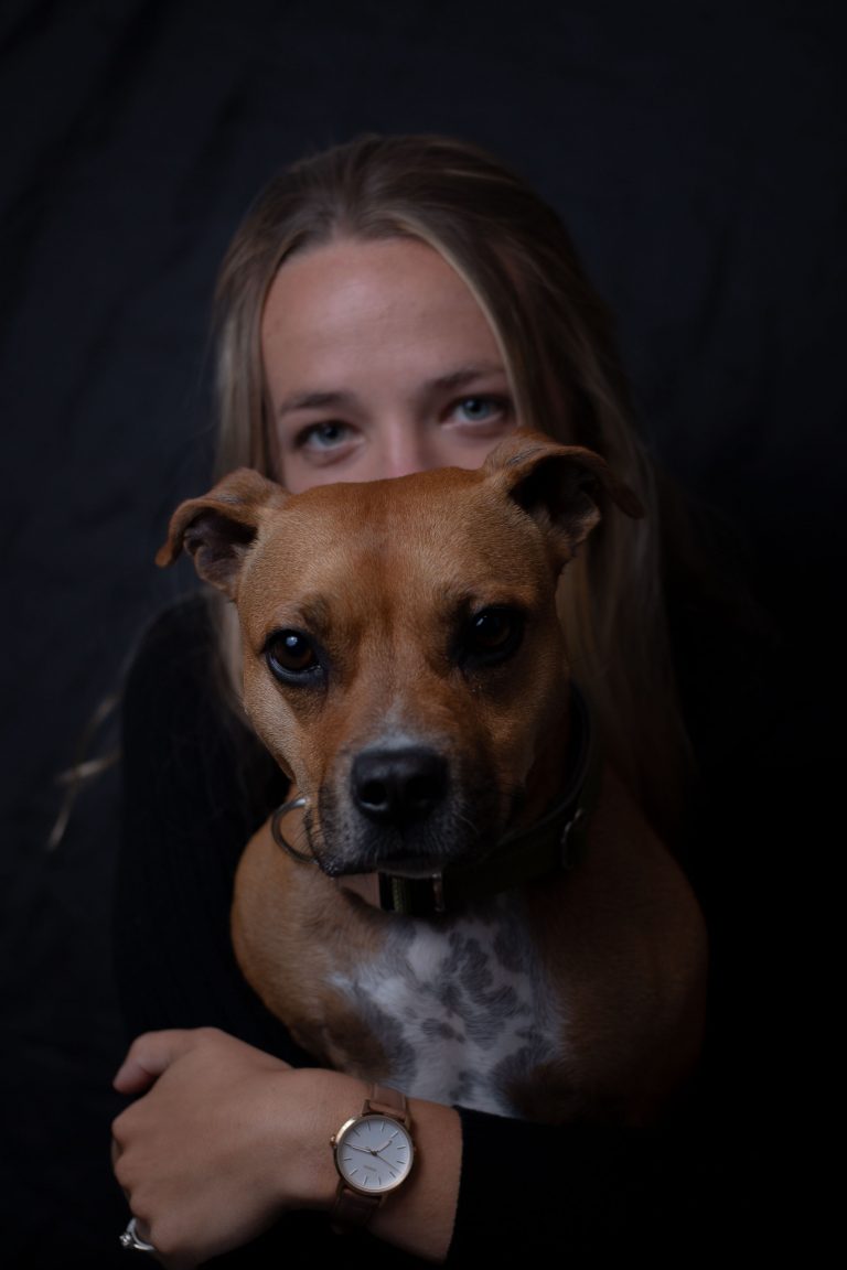 Digital marketing dog